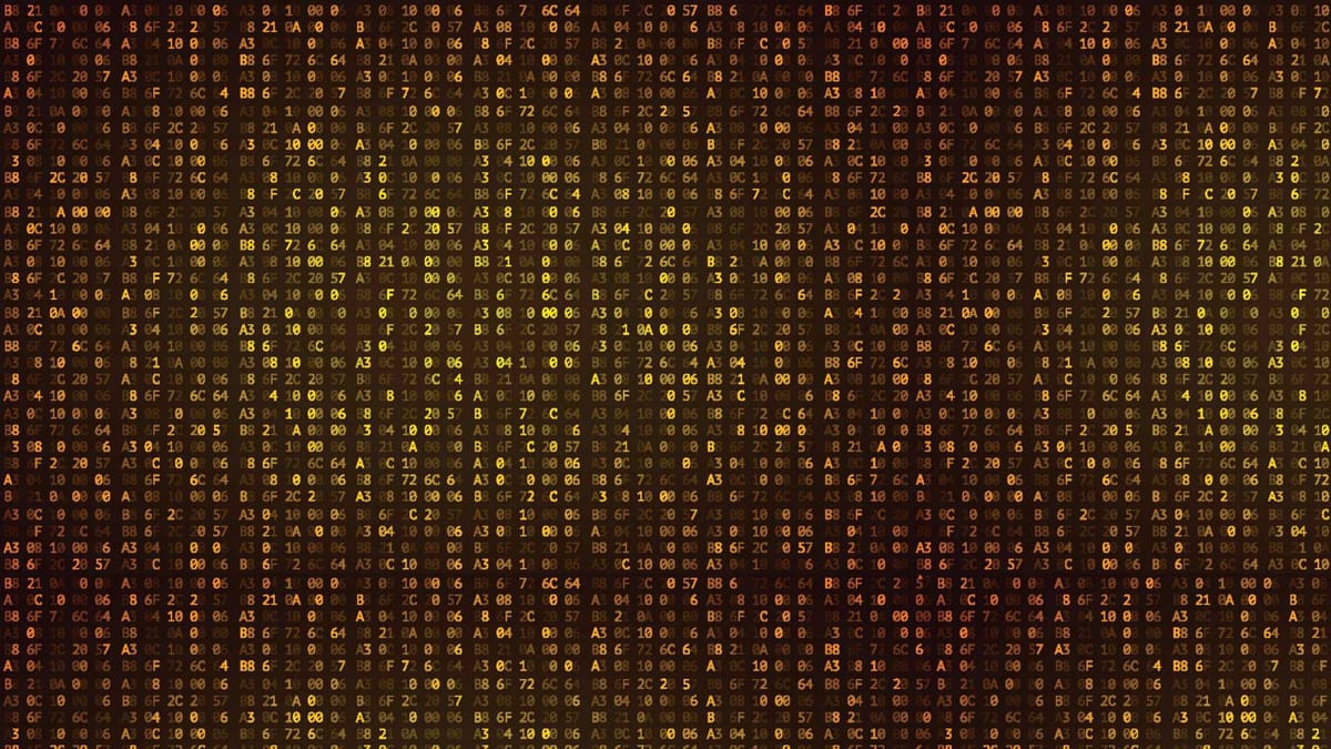 Steganografi Nedir? Kriptografi İle Farkı Nedir?