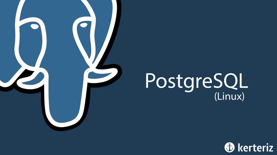 Postgresql Veritabanı Linux Kurulumu - Resimli Anlatım
